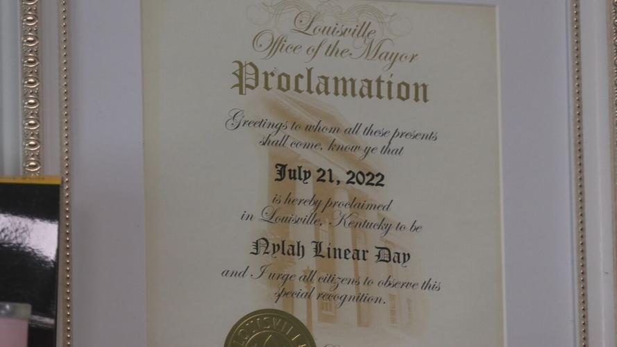 NYLAH LINEAR GRADUATION OPEN SEAT