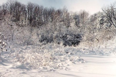 Remembering The Epic Snowstorm Of 1994 Weather Blog Wdrb Com