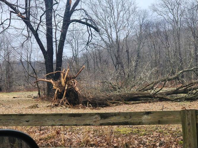 3 - Storm damage near Franklin School Road - Salem, Feb. 10, 2024.jpg