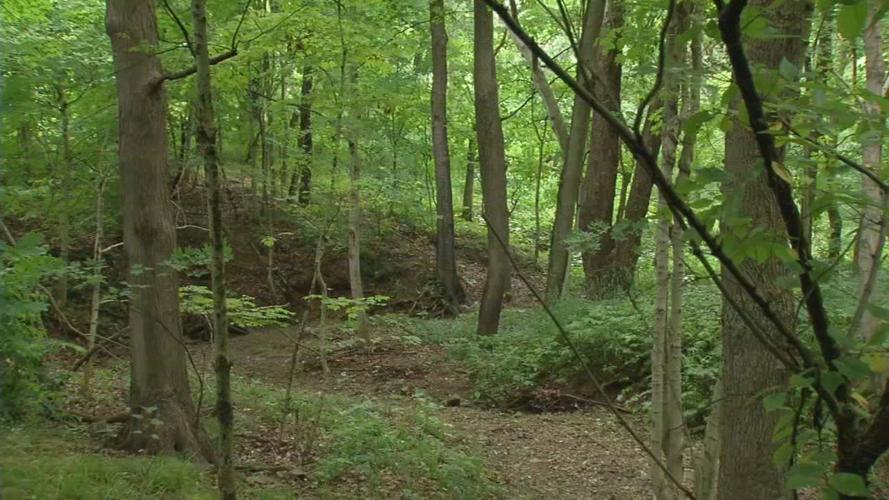 Generic outdoors.jpg