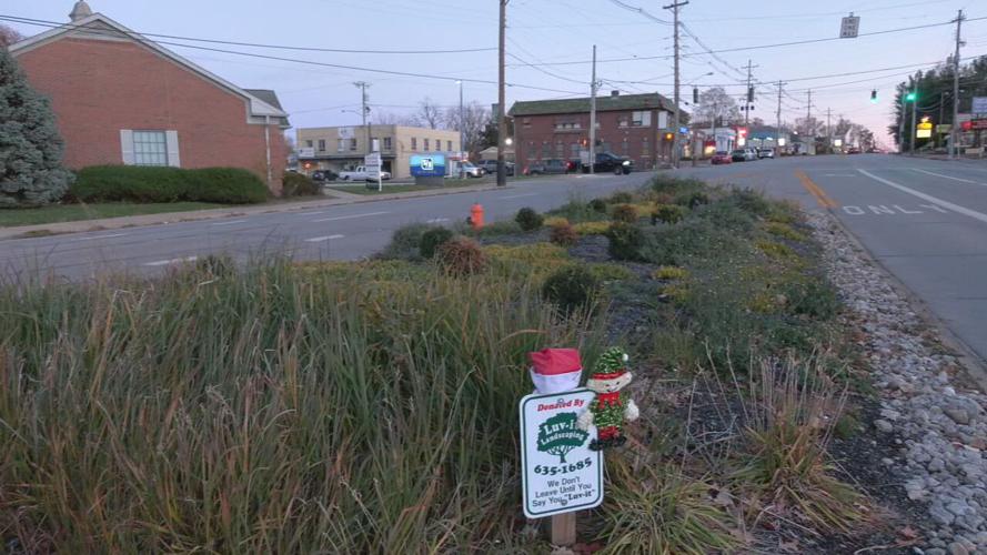 Follow the Buffalo statue planned to go in this median on Preston Street