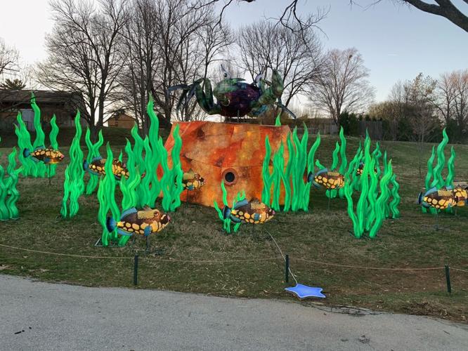 Louisville Zoo Wild Lights Festival 2021 (1).jpg