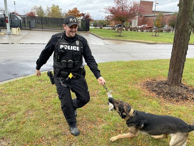 Clarksville police K9 2.jpg