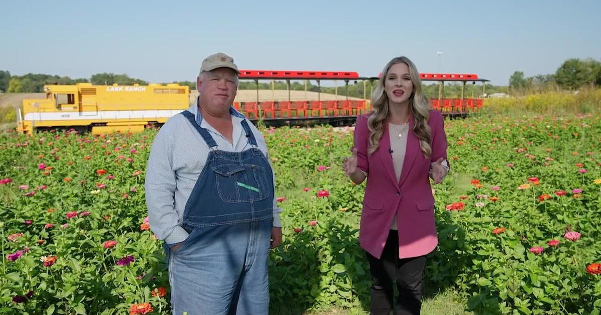 Talk of the Town | Lark Ranch is the ultimate fall experience in ...