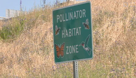 KYTC Pollinator Habitat Zone