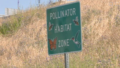 KYTC Pollinator Habitat Zone