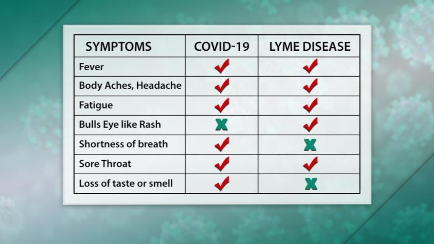Covid and Lyme Disease similarities.jpg