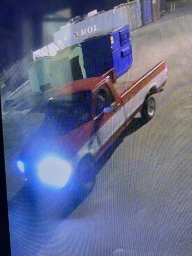 Mums stolen from Fairdale High School. Image from Fairdale High School social media.