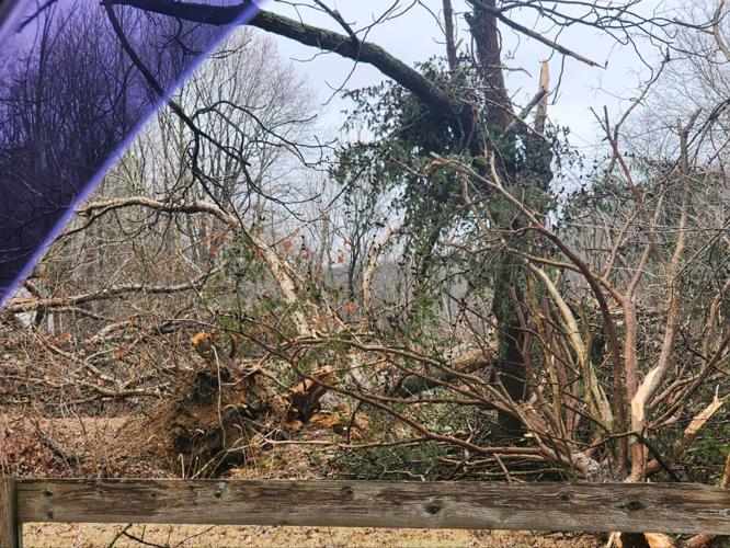 2- Storm damage near Franklin School Road - Salem, Feb. 10, 2024.jpg