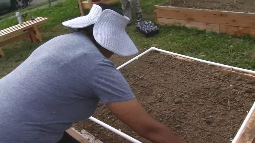 Eastern Star Baptist Church community garden