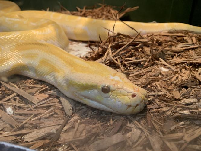 Wilstem Wildlife Park (59).JPG