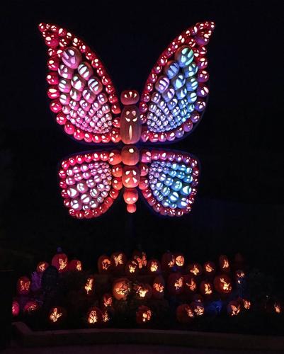 dollywood pumpkins (3) 9-23-20.jpg