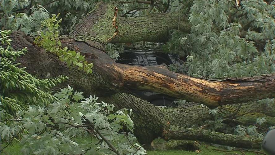 Sunday storm damage 1.jpg