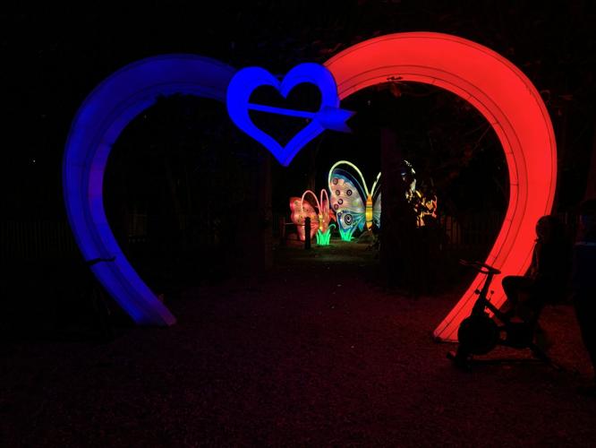 Wild Lights at Louisville Zoo