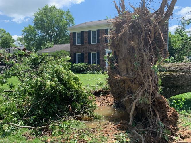 STORM DAMAGE - Brownsboro Vista Drive & Murray Hill Pike - 6-26-2023 2.jpg
