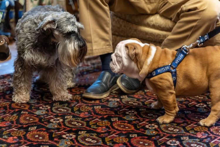 Butler Bulldog and Henry Holcomb 1-27-20.jfif