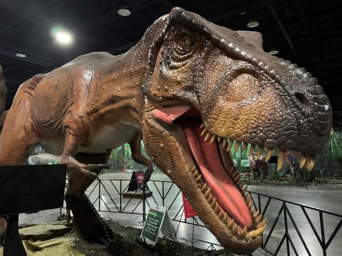 Jurassic Quest dinos 01.12.2024.jpg