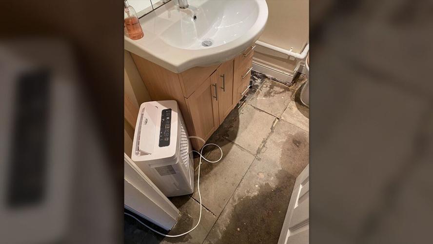 cat house damage 10-26-20.jpg