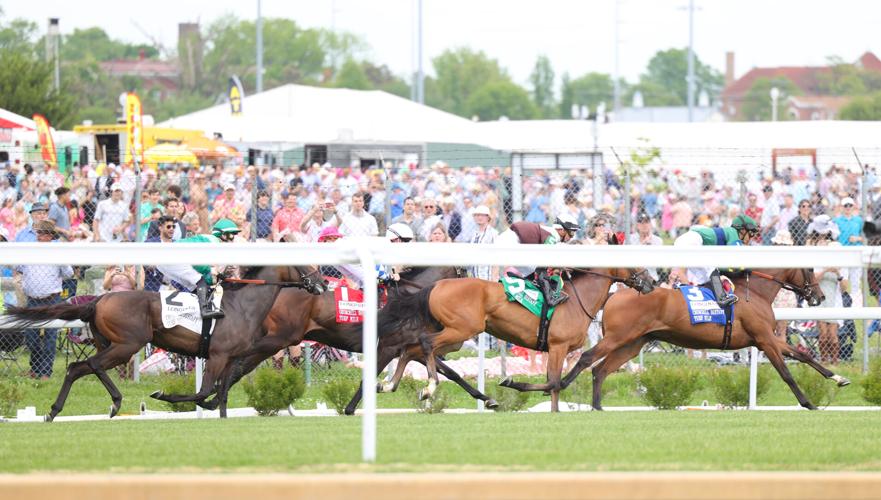 Horses run on turf track.JPG