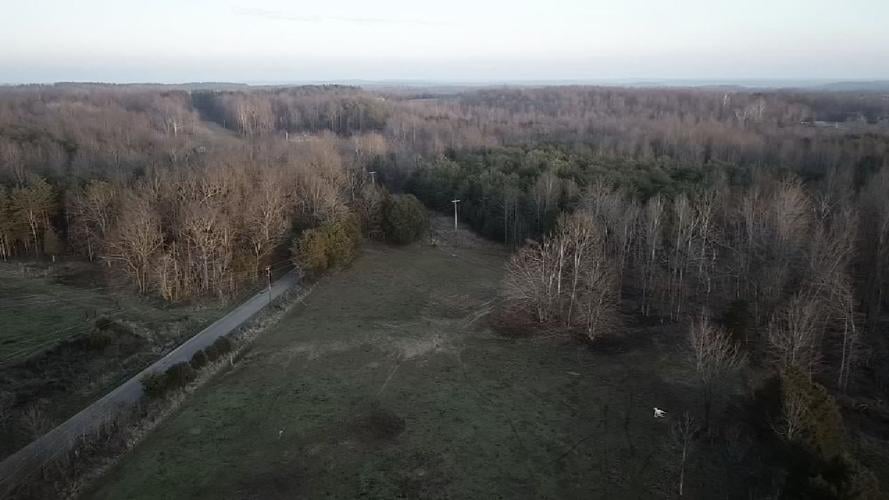 GRAYSON CO. STARVING HORSES 11PKG.transfer_frame_1075aerial.jpg