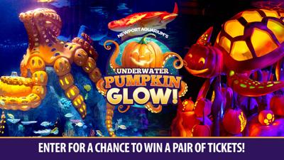Underwater Pumpkin GLOW at Newport Aquarium Sweepstakes