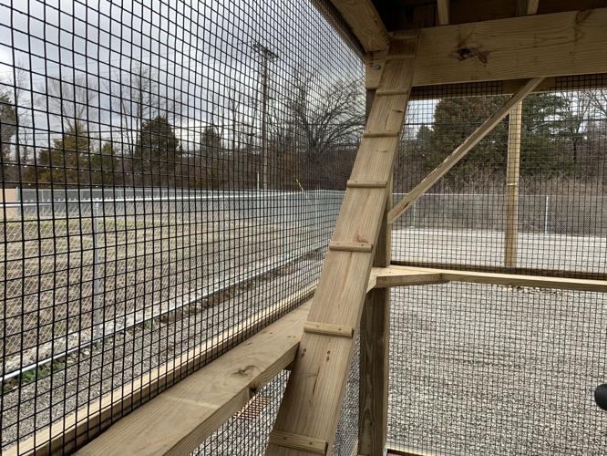 ALLEY CAT ADVOCATES - NEW BUILDING 2-13-2020  (7).jpg