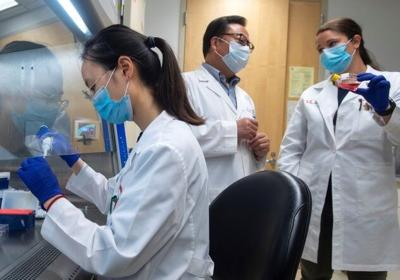 UofL researchers studying the immune system's response to COVID-19