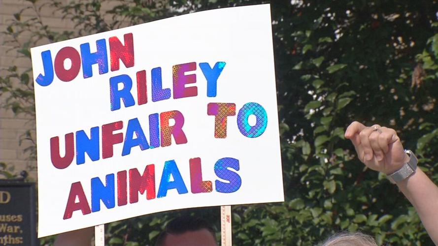 spencer co animal protest