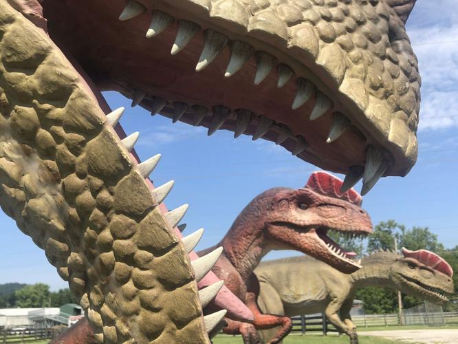 Dinosaur Adventure