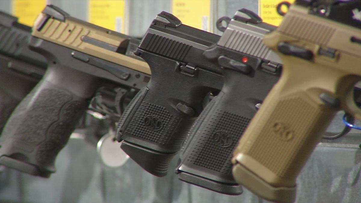 Indiana Prosecutor Wants To Close Loophole On Gun Law News