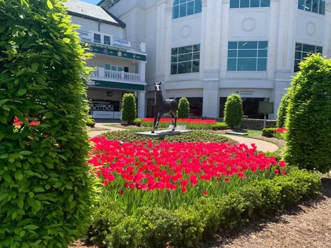 OAKS - PADDOCK - ARISTIDES - 4-30-2021 2.jpg