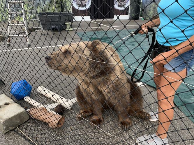 1st Day of Kentucky State Fair