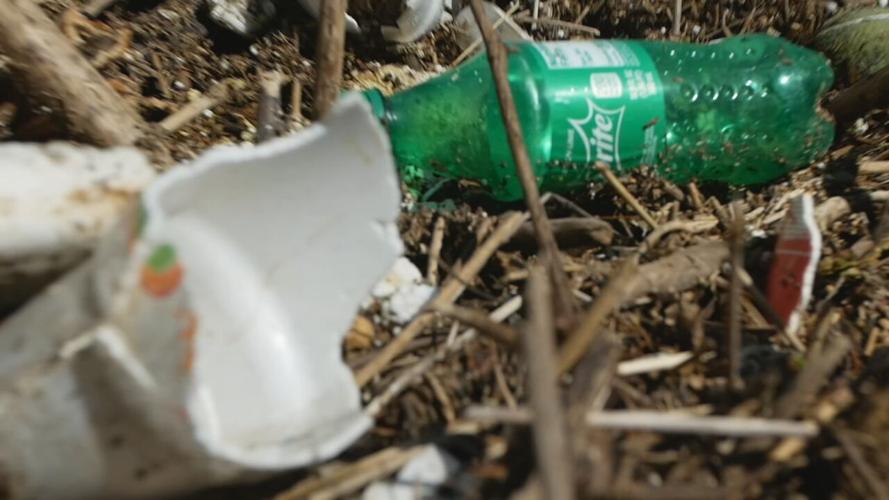 Litter at Cherokee Park in Louisville, Ky.