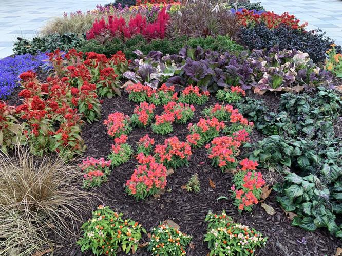 BOTANICAL GARDENS - KEITH KAISER  10-9-19   (16).jpeg