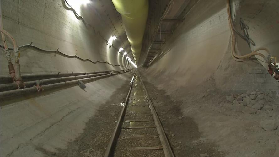 MSD BUMBLEBEE PROJECT MILESTONE (5).jpeg