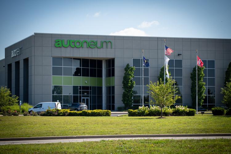 autoneum 1.jpg