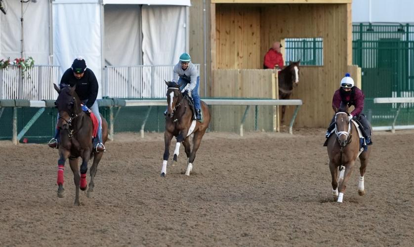 Horses warm up on Thurby