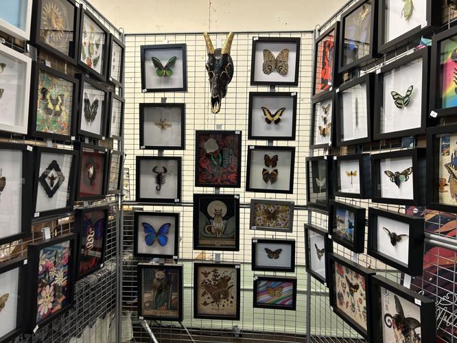 Interior of Caufield's Novelty Shop on Main Street in downtown Louisville