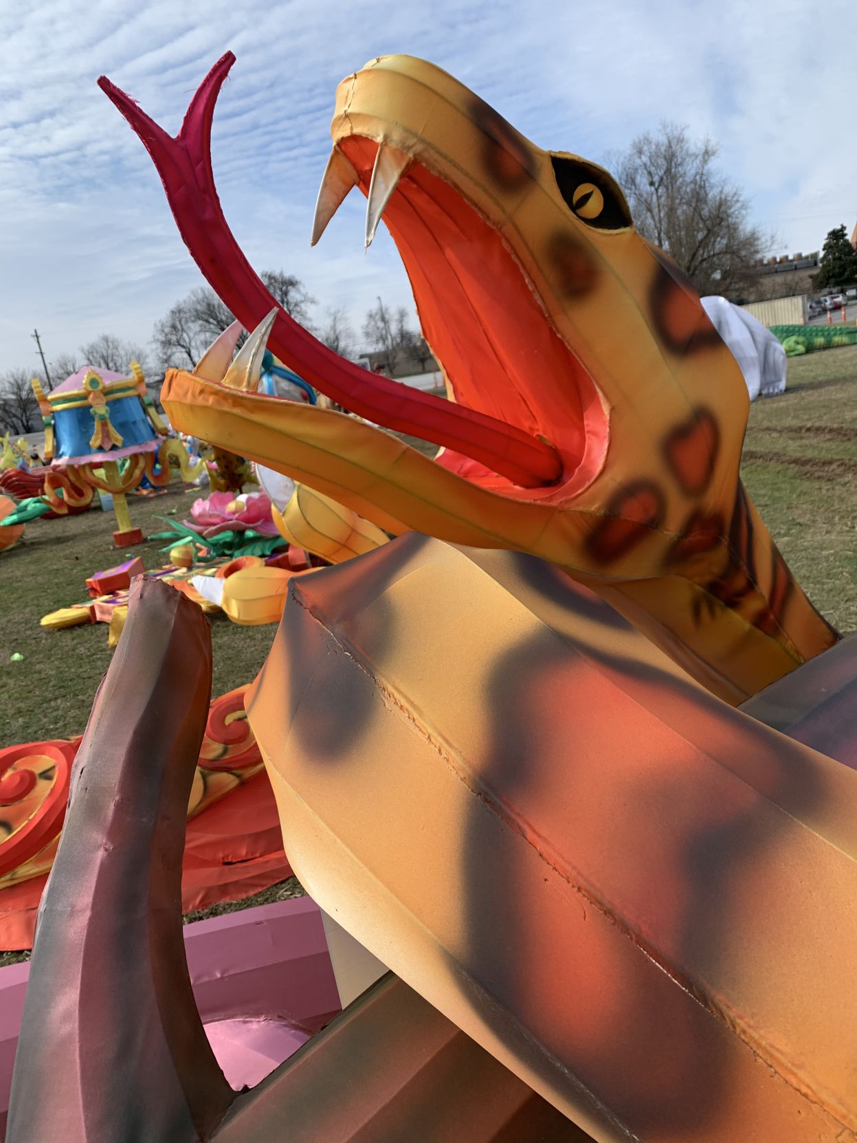 Asian Lantern Festival (Snake).jpg