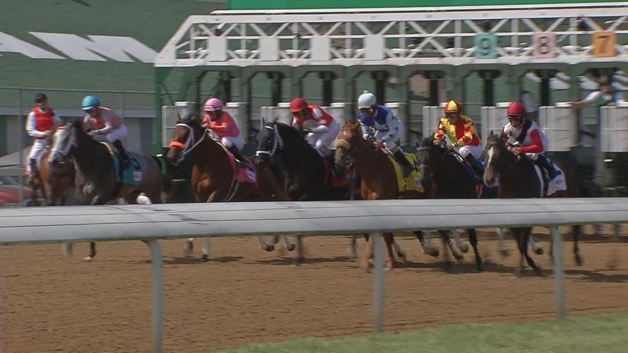 Derby start generic.jpg