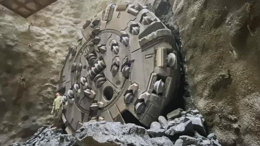 MSD BUMBLEBEE PROJECT MILESTONE (3).jpeg