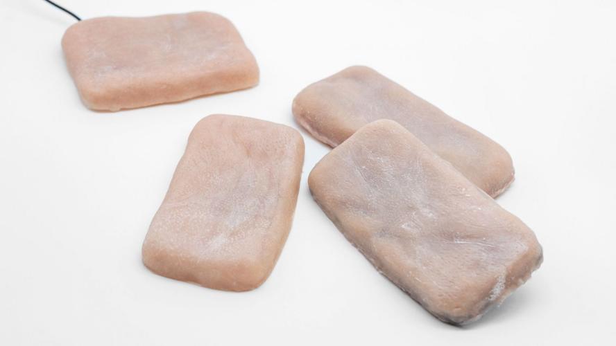 Fake Skin Phone Case Fox News.jpg