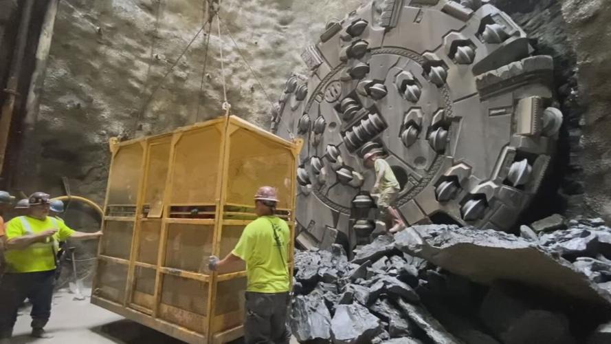 MSD BUMBLEBEE PROJECT MILESTONE (2).jpeg