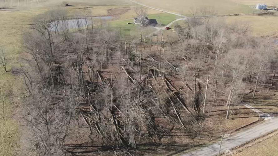 Tornado damage in Washington County 3-20-21.jpeg