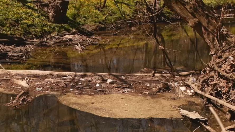 Litter at Cherokee Park in Louisville, Ky.