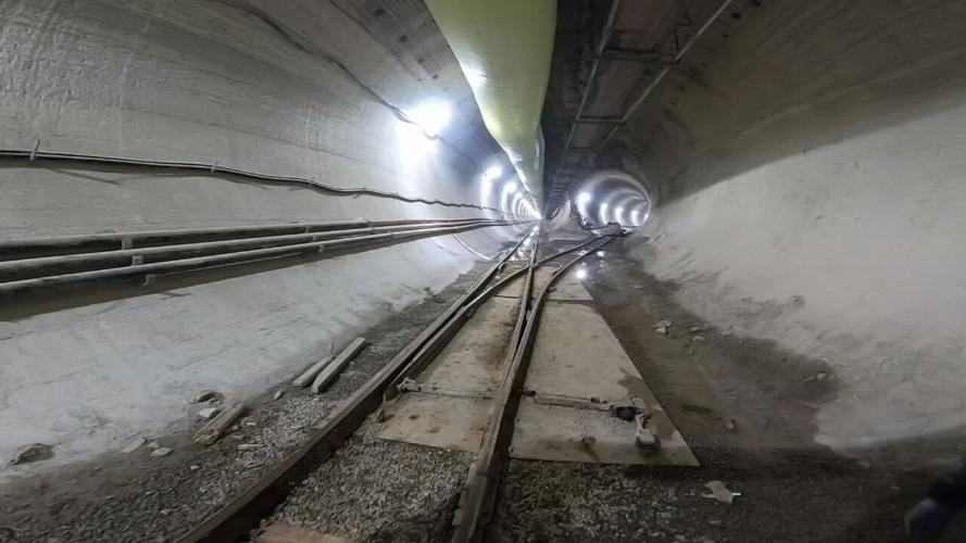 MSD BUMBLEBEE PROJECT MILESTONE (1).jpeg