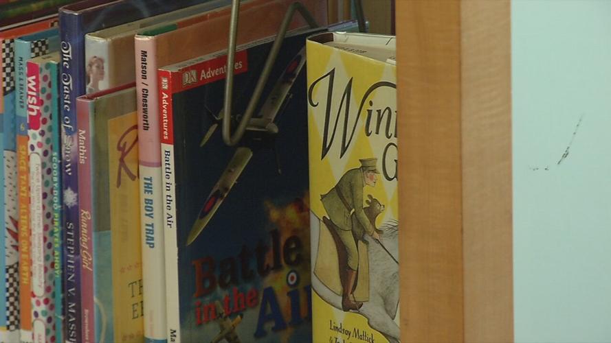 Library books generic.jpeg