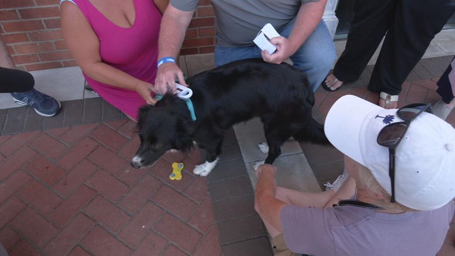 Jeffersontown pet microchip scanners 7-1-24