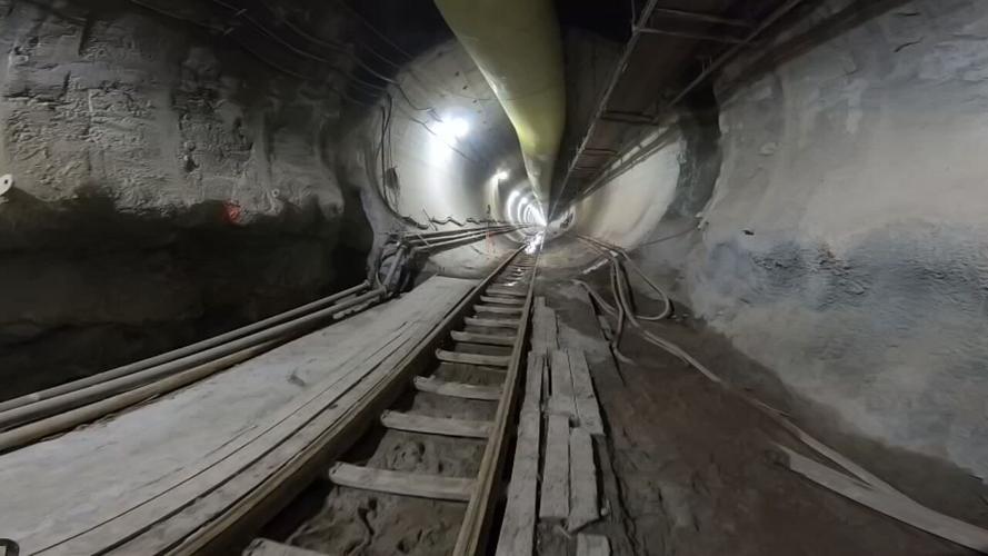 MSD BUMBLEBEE PROJECT MILESTONE.jpeg