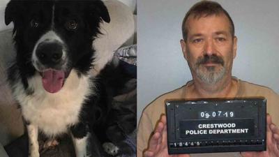 John Conrad Ross - stabbed border collie